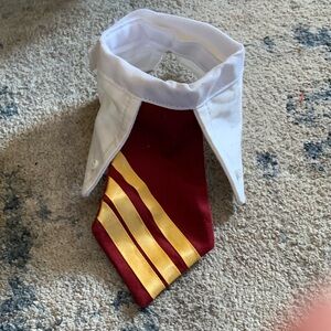 Custom Made Harry Potter Collar w/tie